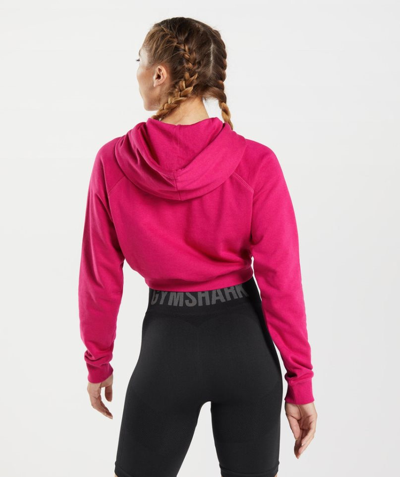 Women's Gymshark Training Cropped Hoodie Fuchsia | CA 7361D0